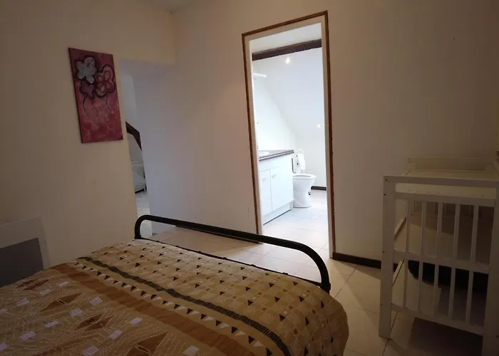 Appartement Spacieux Equipe A Proximite De La Loire *